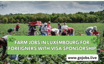 Farm Jobs in Luxembourg for Foreigners offer a good opportunity. Luxembourg appeals to agricultural laborers because of its lovely landscape,Farm Jobs in Luxembourg for Foreigners