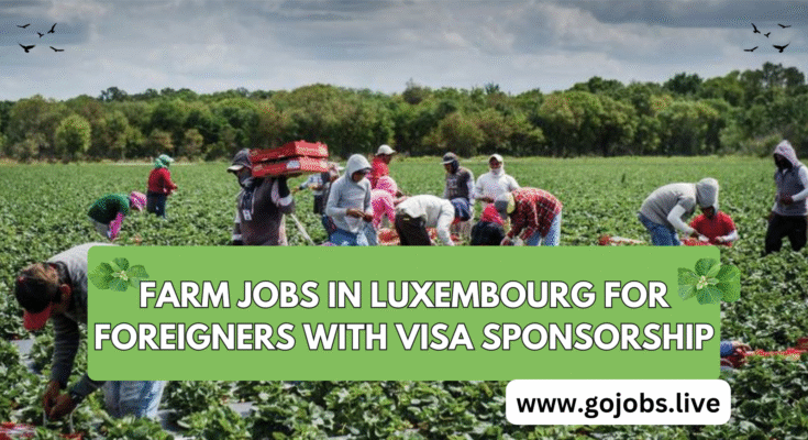 Farm Jobs in Luxembourg for Foreigners offer a good opportunity. Luxembourg appeals to agricultural laborers because of its lovely landscape,Farm Jobs in Luxembourg for Foreigners