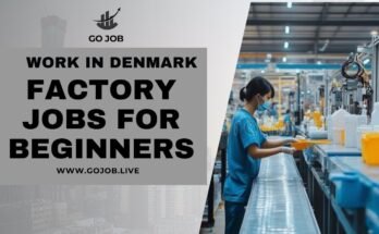 Work in Denmark: Factory Jobs for Beginners & How to Apply